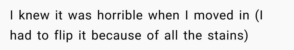 I knew it was horrible when I moved in (I had to flip it because of all the stains)