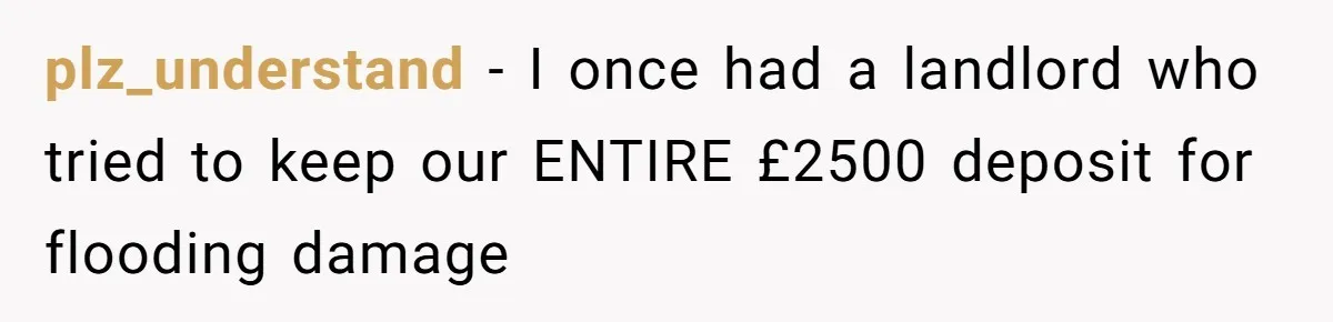 plz_understand − I once had a landlord who tried to keep our ENTIRE £2500 deposit for flooding damage