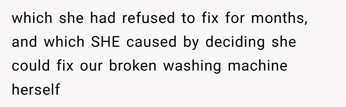 which she had refused to fix for months, and which SHE caused by deciding she could fix our broken washing machine herself