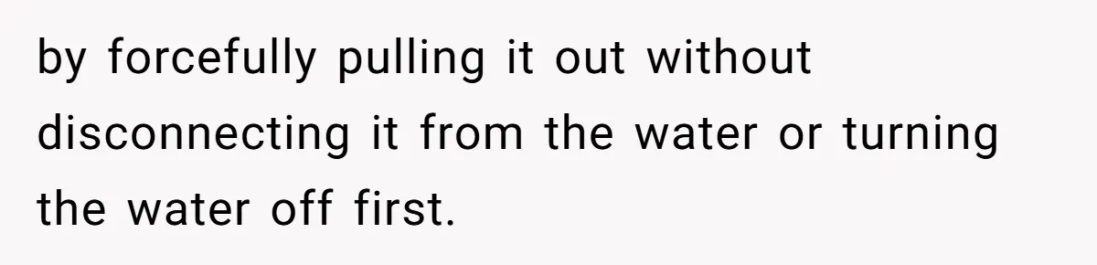 by forcefully pulling it out without disconnecting it from the water or turning the water off first.