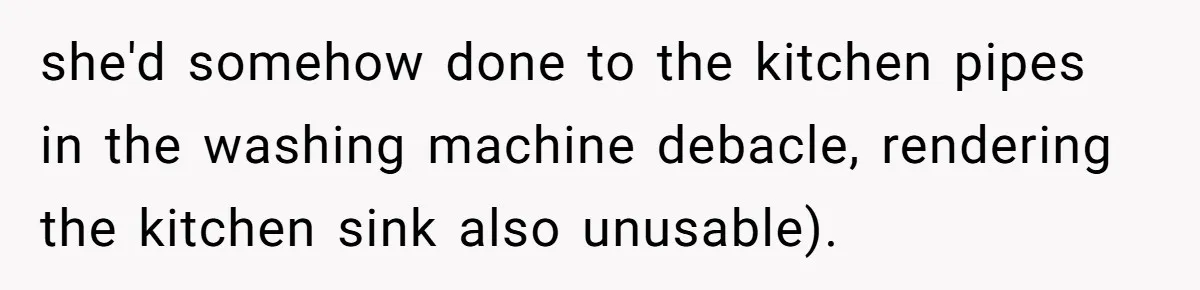 she'd somehow done to the kitchen pipes in the washing machine debacle, rendering the kitchen sink also unusable).
