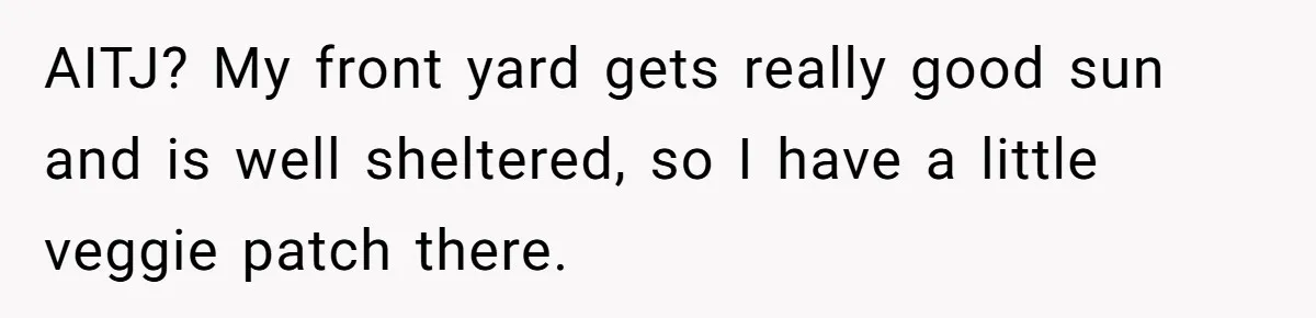 AITJ? My front yard gets really good sun and is well sheltered, so I have a little veggie patch there.