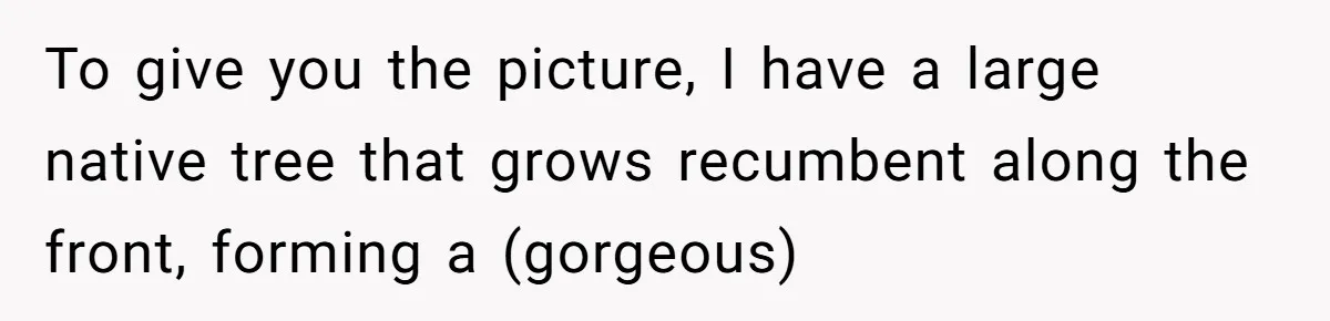 To give you the picture, I have a large native tree that grows recumbent along the front, forming a (gorgeous)