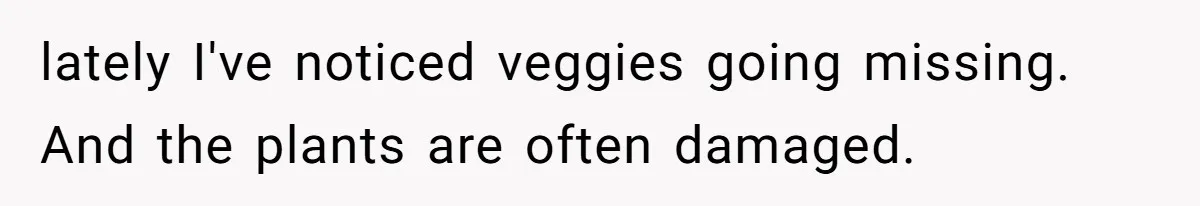 lately I've noticed veggies going missing. And the plants are often damaged.
