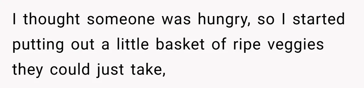 I thought someone was hungry, so I started putting out a little basket of ripe veggies they could just take,