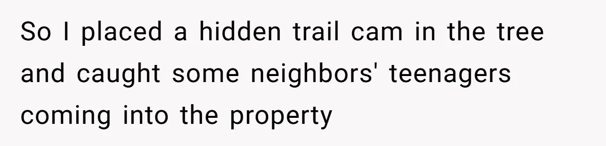 So I placed a hidden trail cam in the tree and caught some neighbors' teenagers coming into the property