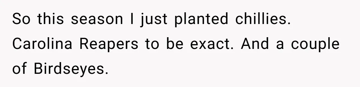 So this season I just planted chillies. Carolina Reapers to be exact. And a couple of Birdseyes.