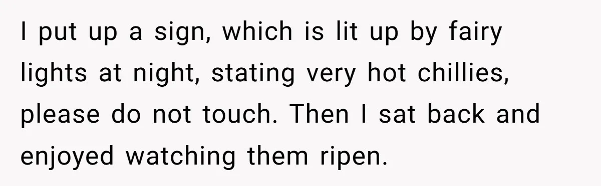 I put up a sign, which is lit up by fairy lights at night, stating very hot chillies, please do not touch. Then I sat back and enjoyed watching them...