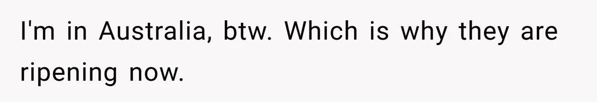 I'm in Australia, btw. Which is why they are ripening now.