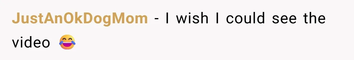 JustAnOkDogMom − I wish I could see the video 😂