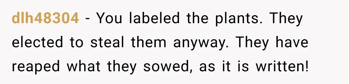 dlh48304 − You labeled the plants. They elected to steal them anyway. They have reaped what they sowed, as it is written!