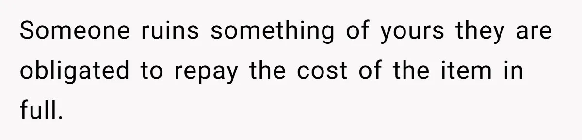 Someone ruins something of yours they are obligated to repay the cost of the item in full.