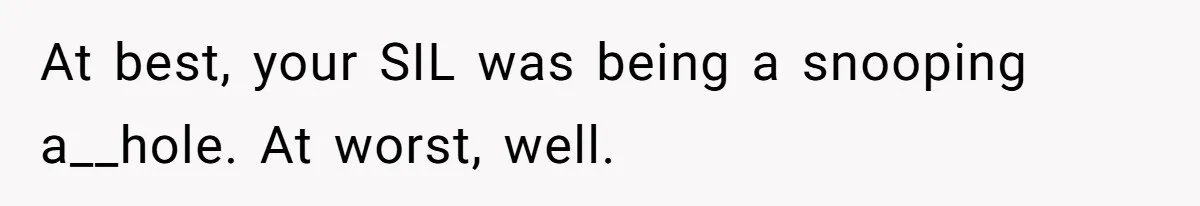At best, your SIL was being a snooping a__hole. At worst, well.