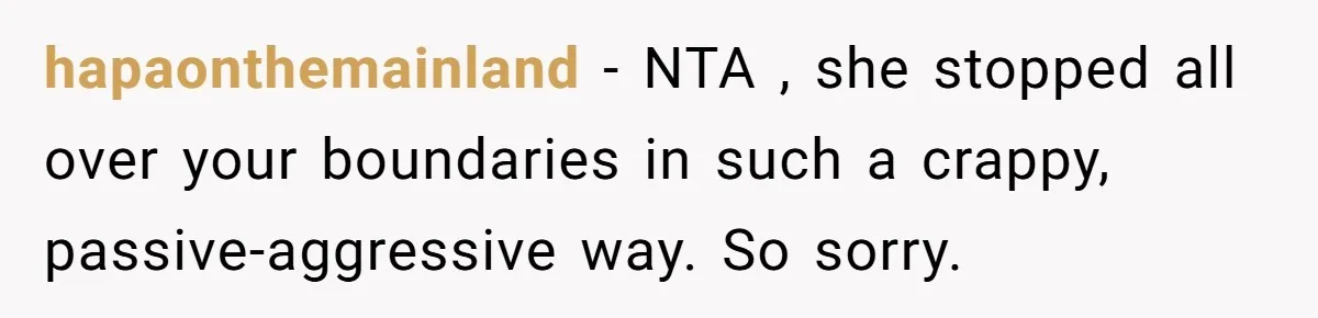 hapaonthemainland − NTA , she stopped all over your boundaries in such a crappy, passive-aggressive way. So sorry.