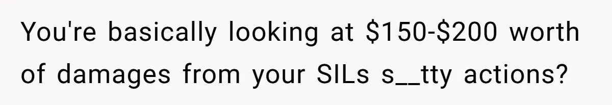 You're basically looking at $150-$200 worth of damages from your SILs s__tty actions?