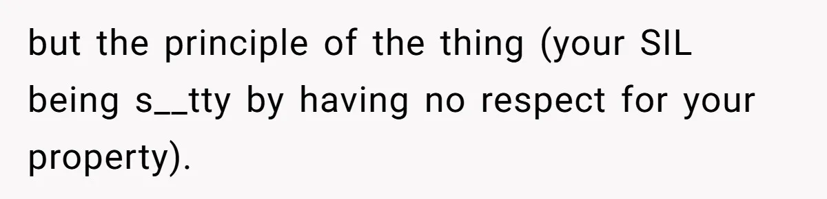 but the principle of the thing (your SIL being s__tty by having no respect for your property).
