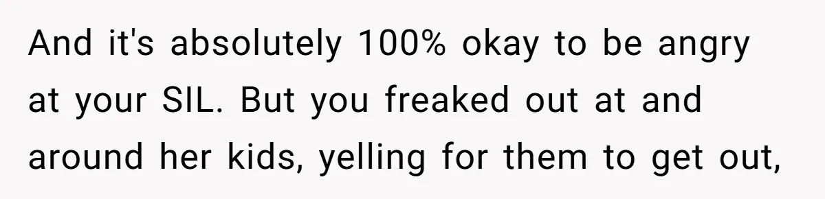 And it's absolutely 100% okay to be angry at your SIL. But you freaked out at and around her kids, yelling for them to get out,