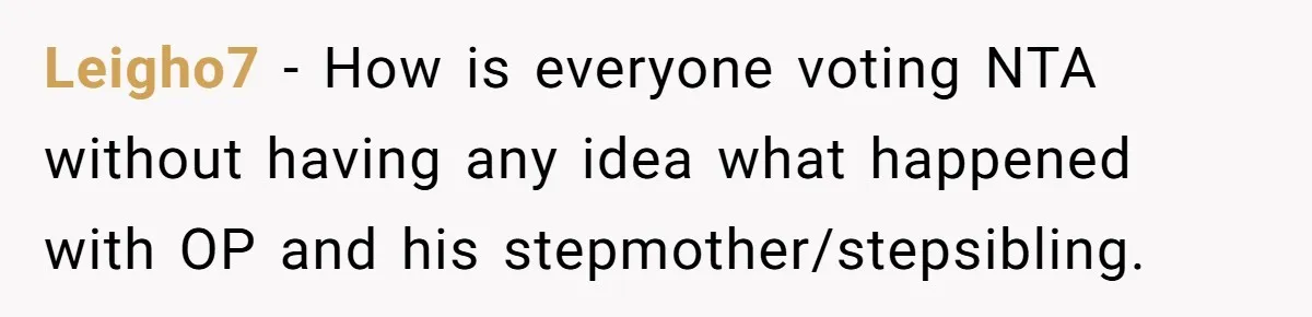 Leigho7 − How is everyone voting NTA without having any idea what happened with OP and his stepmother/stepsibling.