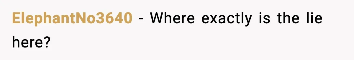 ElephantNo3640 - Where exactly is the lie here?