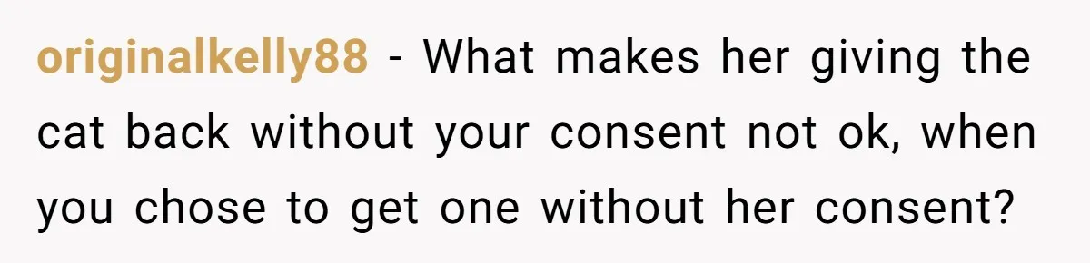 originalkelly88 − What makes her giving the cat back without your consent not ok, when you chose to get one without her consent?