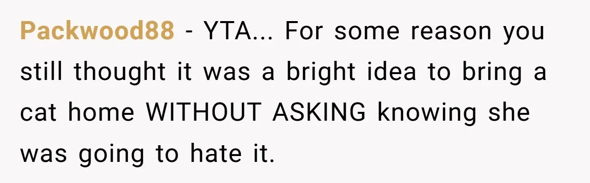 Packwood88 − YTA... For some reason you still thought it was a bright idea to bring a cat home WITHOUT ASKING knowing she was going to hate it.
