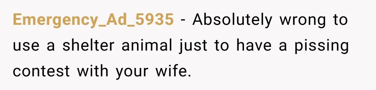 Emergency_Ad_5935 − Absolutely wrong to use a shelter animal just to have a pissing contest with your wife.