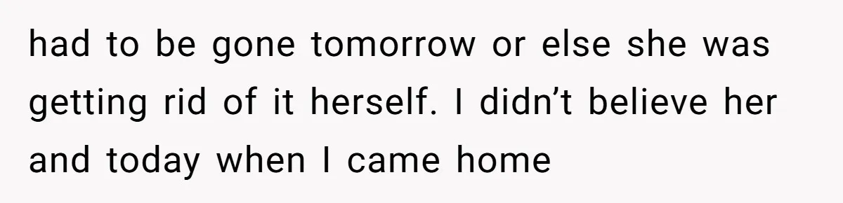 had to be gone tomorrow or else she was getting rid of it herself. I didn’t believe her and today when I came home