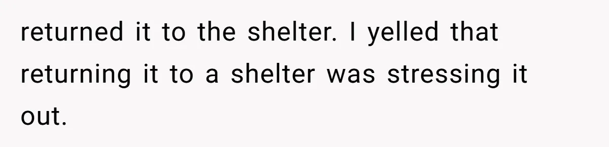 returned it to the shelter. I yelled that returning it to a shelter was stressing it out.