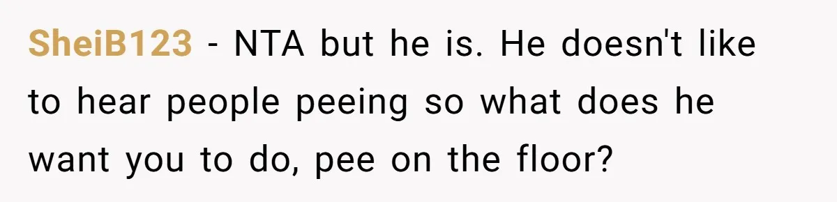 SheiB123 − NTA but he is. He doesn't like to hear people peeing so what does he want you to do, pee on the floor?