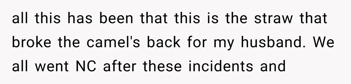 all this has been that this is the straw that broke the camel's back for my husband. We all went NC after these incidents and