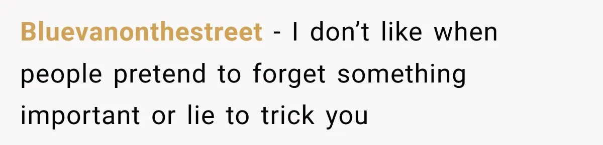 Bluevanonthestreet − I don’t like when people pretend to forget something important or lie to trick you