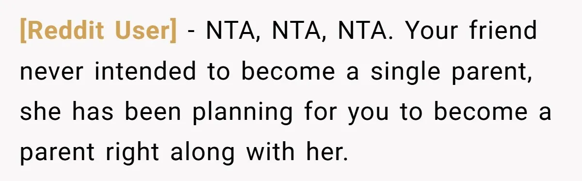 [Reddit User] − NTA, NTA, NTA. Your friend never intended to become a single parent, she has been planning for you to become a parent right along with her.