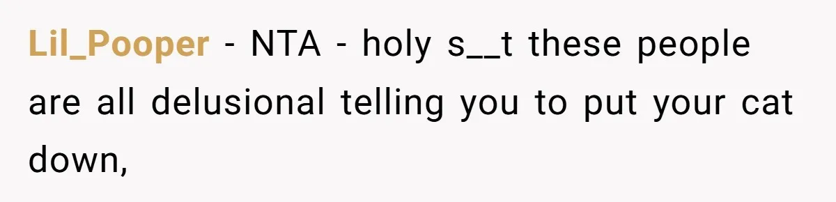 Lil_Pooper − NTA - holy s__t these people are all delusional telling you to put your cat down,