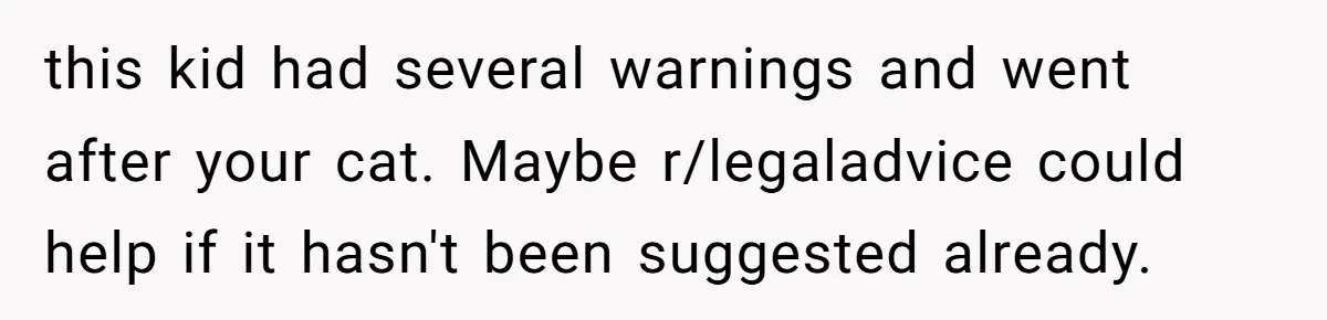 this kid had several warnings and went after your cat. Maybe r/legaladvice could help if it hasn't been suggested already.