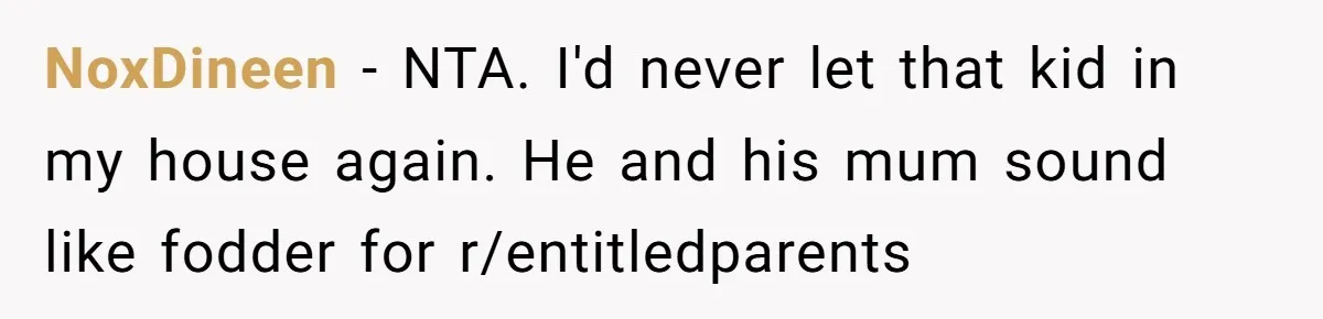NoxDineen − NTA. I'd never let that kid in my house again. He and his mum sound like fodder for r/entitledparents