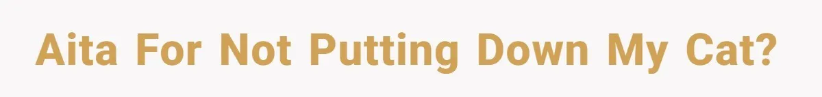 AITA for not putting down my cat?