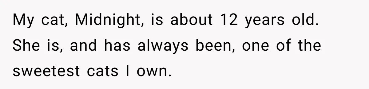My cat, Midnight, is about 12 years old. She is, and has always been, one of the sweetest cats I own.