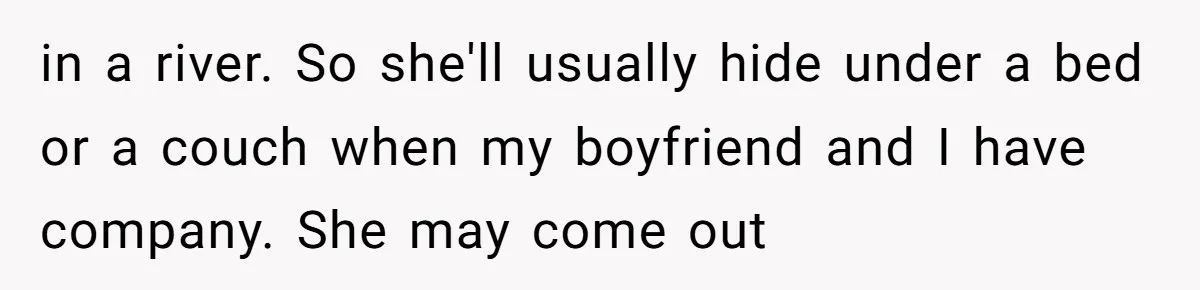 in a river. So she'll usually hide under a bed or a couch when my boyfriend and I have company. She may come out