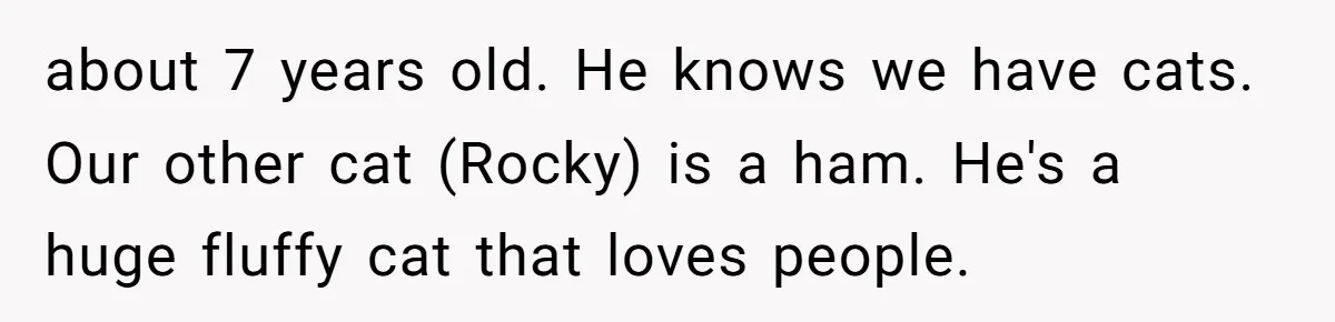 about 7 years old. He knows we have cats. Our other cat (Rocky) is a ham. He's a huge fluffy cat that loves people.