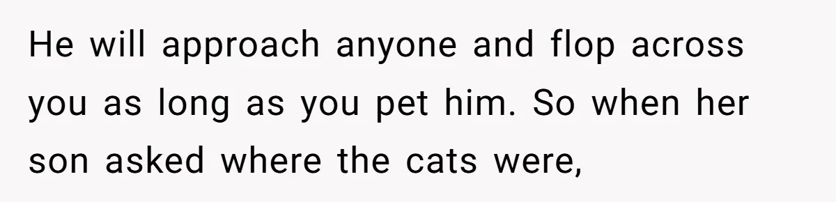 He will approach anyone and flop across you as long as you pet him. So when her son asked where the cats were,