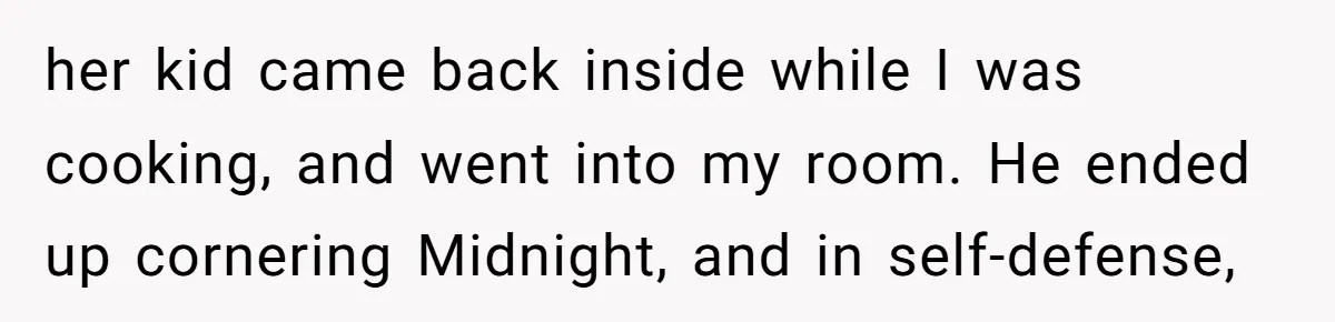 her kid came back inside while I was cooking, and went into my room. He ended up cornering Midnight, and in self-defense,