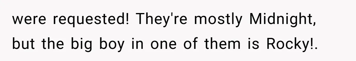 were requested! They're mostly Midnight, but the big boy in one of them is Rocky!.