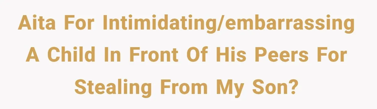 AITA for intimidating/embarrassing a child in front of his peers for stealing from my son?