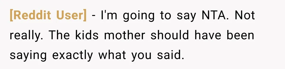 [Reddit User] - I'm going to say NTA. Not really. The kids mother should have been saying exactly what you said.