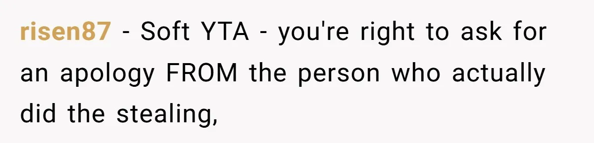 risen87 - Soft YTA - you're right to ask for an apology FROM the person who actually did the stealing,