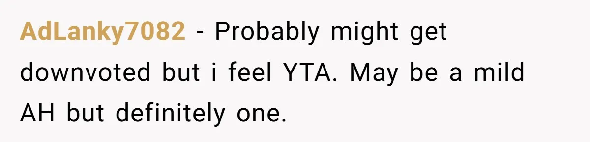 AdLanky7082 - Probably might get downvoted but i feel YTA. May be a mild AH but definitely one.