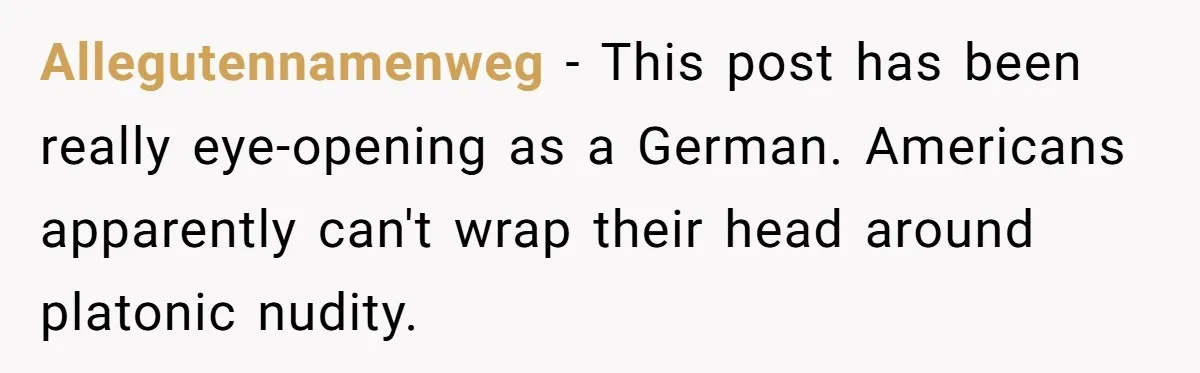 Allegutennamenweg − This post has been really eye-opening as a German. Americans apparently can't wrap their head around platonic nudity.