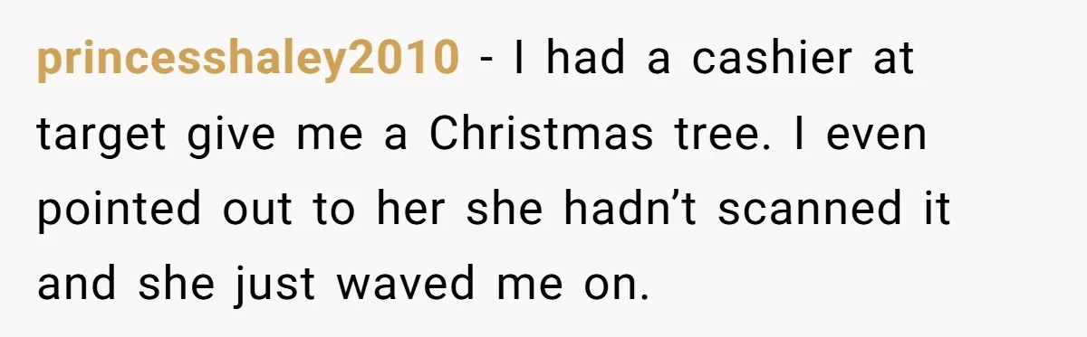 princesshaley2010 − I had a cashier at target give me a Christmas tree. I even pointed out to her she hadn’t scanned it and she just waved me on.