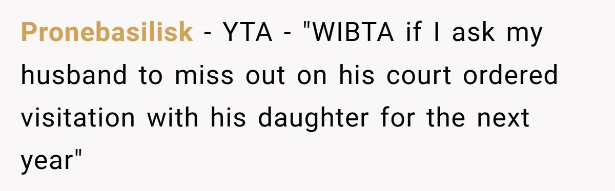 Pronebasilisk − YTA - "WIBTA if I ask my husband to miss out on his court ordered visitation with his daughter for the next year"