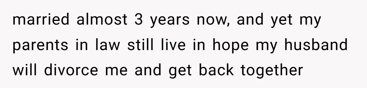 married almost 3 years now, and yet my parents in law still live in hope my husband will divorce me and get back together